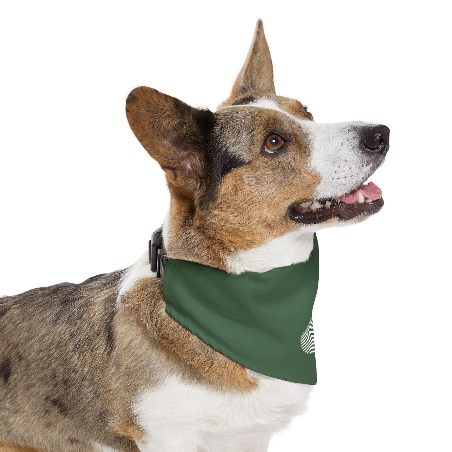 Pet Bandana Collar — 'More Worry Less' Minimal Wave Design