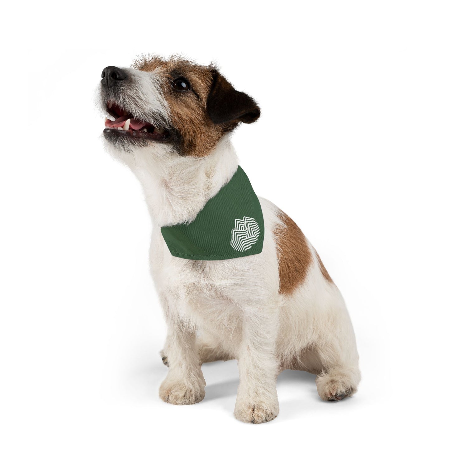 Pet Bandana Collar — 'More Worry Less' Minimal Wave Design