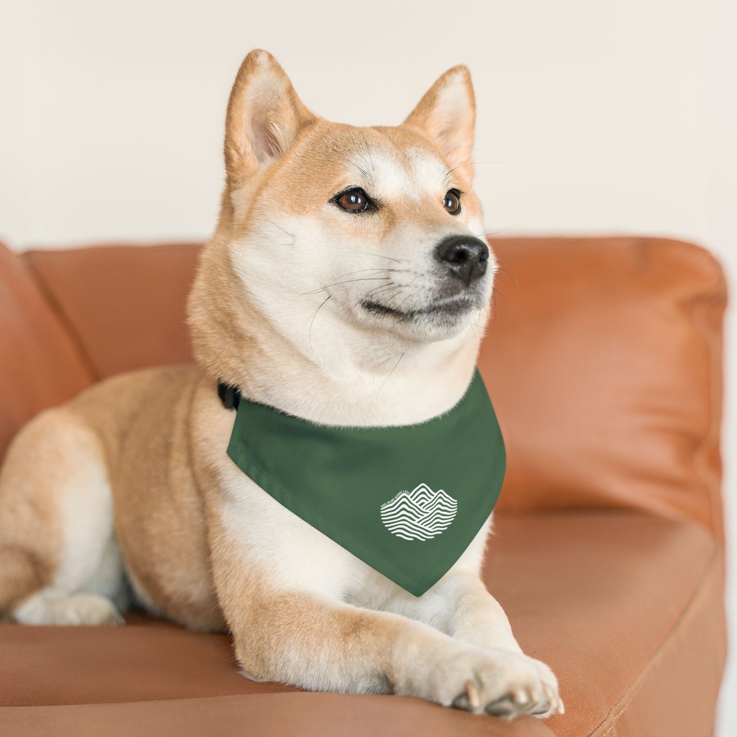 Pet Bandana Collar — 'More Worry Less' Minimal Wave Design